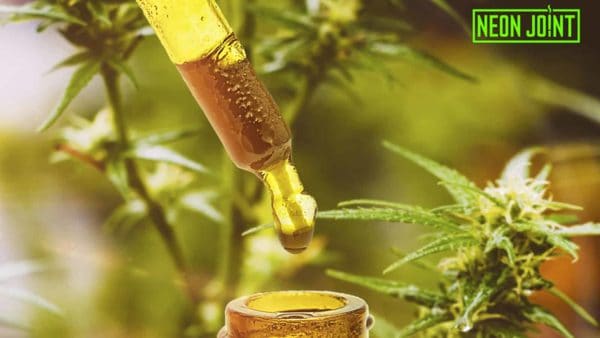 Guide To Finding The Perfect CBD Dosage Neonjoint