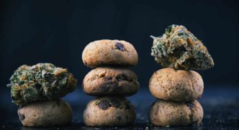 Beginners Guide to Eating Edibles