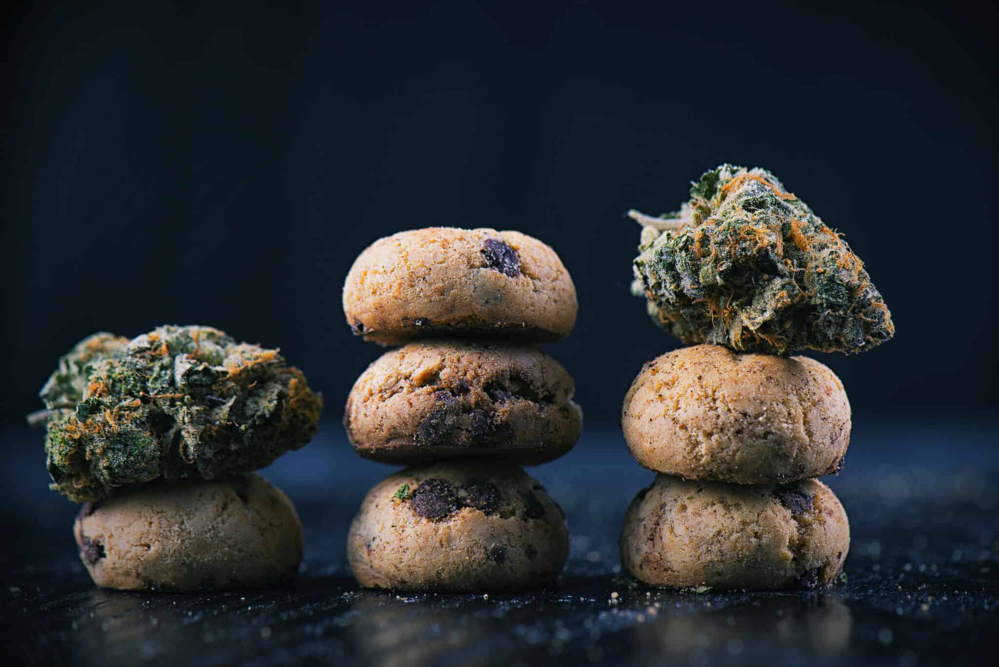 neon-joint-beginners-guide-to-eating-edibles