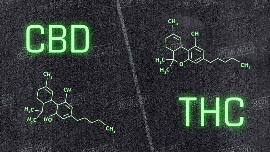 cbd vs thc: what's the difference