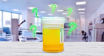 Does Synthetic Urine Work for Drug Tests