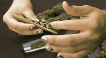 Guide to Blunts and How to Roll a Blunt