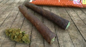 How to Roll Backwoods Blunts with the Best Wraps