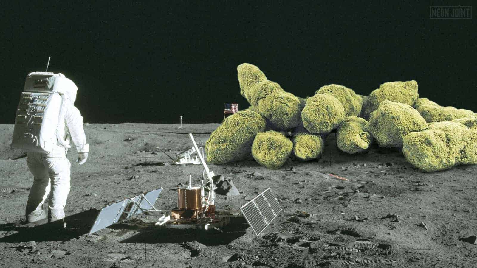 Moon Rocks One Giant Hit for Mankind