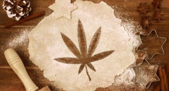 Top 5 Weed Recipe Ideas for a Lit Danksgiving