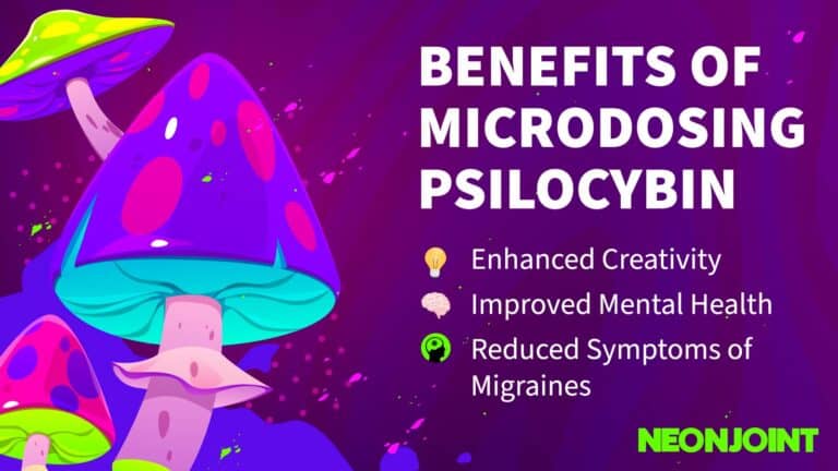 How To Microdose Psilocybin Mushrooms · Neonjoint 6423