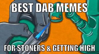 30 Best Dab Memes