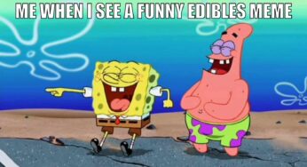 40 Best Edibles Memes