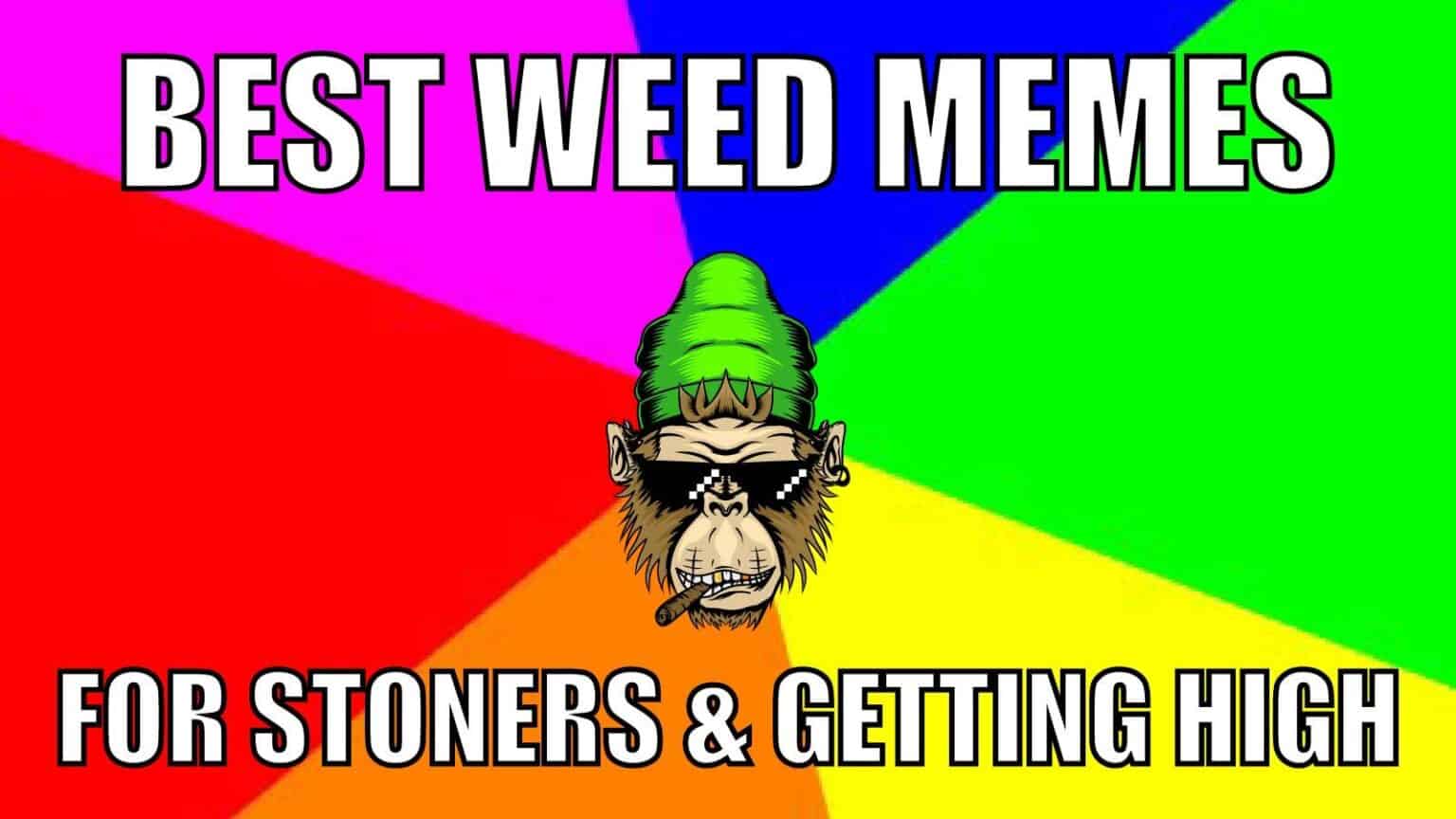 55 Best Weed Memes for Stoners & Getting High - Neonjoint