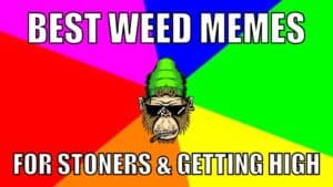 best weed memes