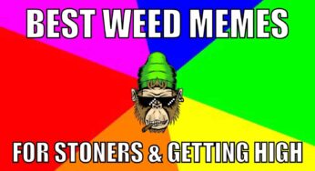 55 Best Weed Memes for Stoners & Getting High