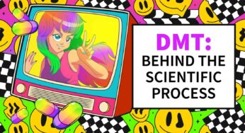 DMT Extraction: Behind the Scientific Process