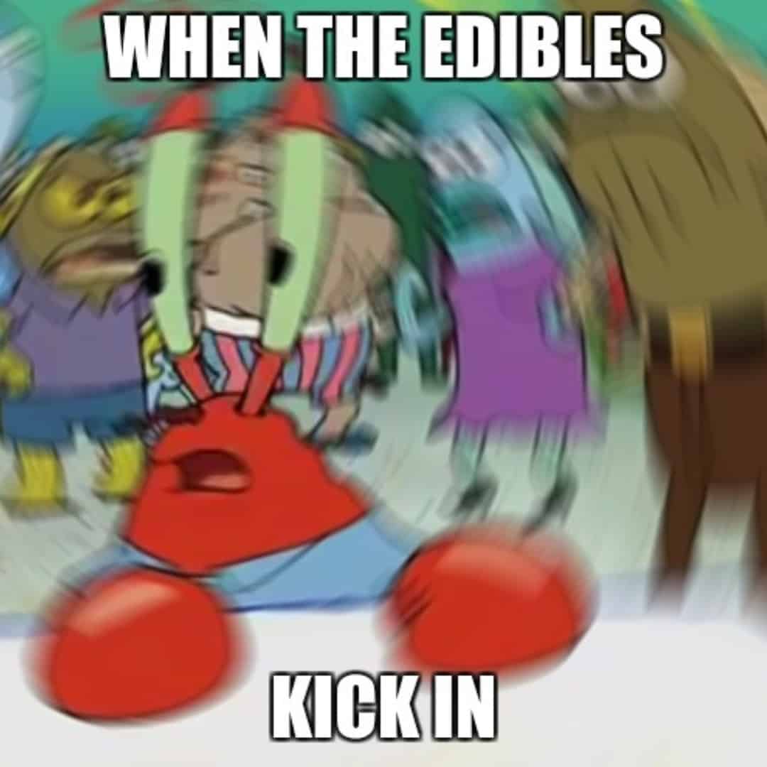 30 Best Edibles Memes · Neonjoint