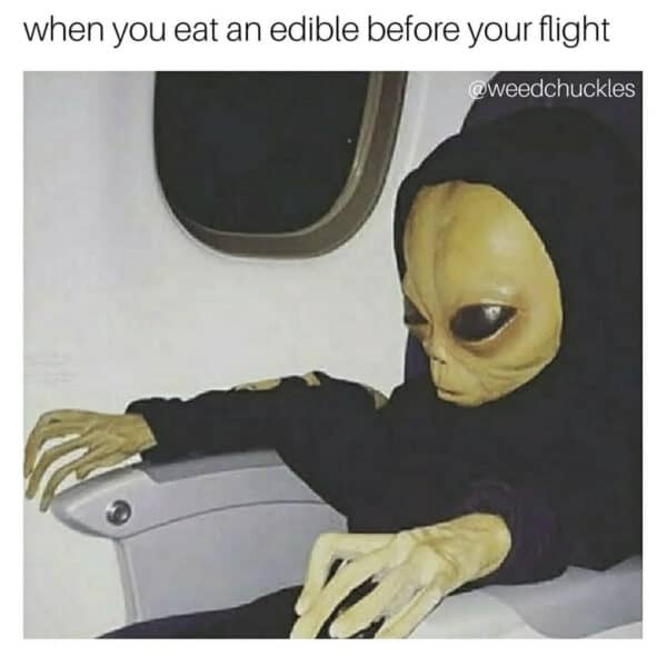 30 Best Edibles Memes Neonjoint 30-best-edibles-memes-neonjoint