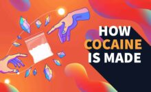 how cocaine is made