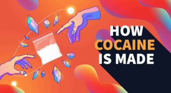 How Cocaine is Made: Common Procedures Explained