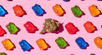 Guide to Edible Dosage: How Much to Eat of a THC Treat