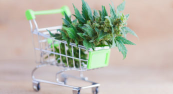 California Cannabis Brands Going D2C