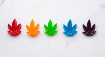 How Long Do Edibles Stay in Your System?