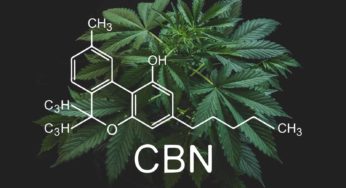 The Ultimate Guide to CBN: Benefits, Side Effects & Uses