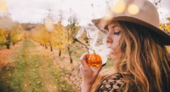 The Rising Popularity of Pre-Roll Joints
