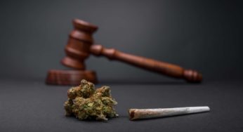 What are the Next States to Legalize Weed… and Why