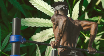 Light-Up & Zone-In: Best Strains for Productivity