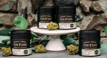 True Emerald Triangle Cannabis: Flow Kana Brand Profile