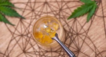 The Ultimate Guide to Cannabis Extracts