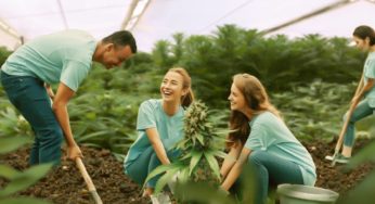ProCannaGro: The Ultimate Resource for Cannabis Growers