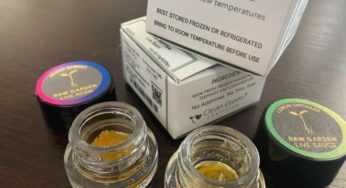 Raw Garden: Clean, High Standard, & Quality Concentrates