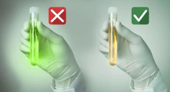How to Pass a Drug Test: A Guide to Producing Clean Urine