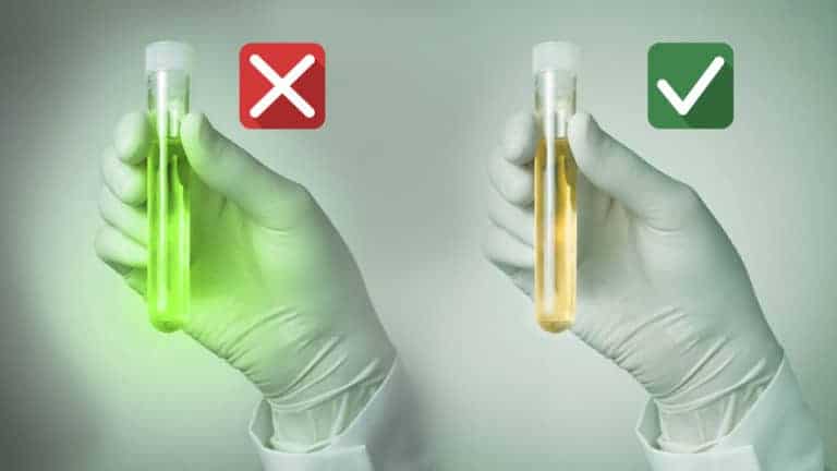 How to Pass a Drug Test: A Guide to Producing Clean Urine