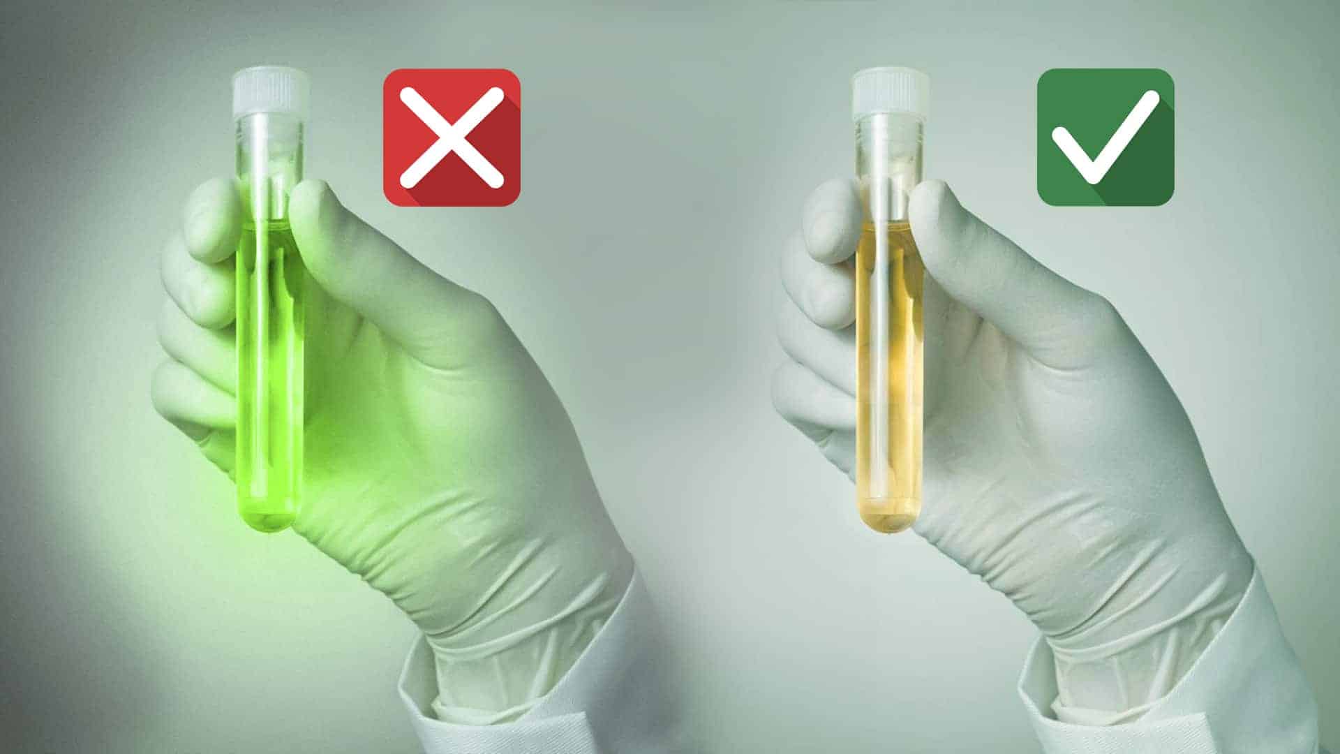 How to Pass a Drug Test: A Guide to Producing Clean Urine