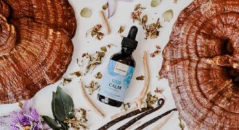 Mushroom Revival: Reinvigorating Health Through Medicinal Mushrooms