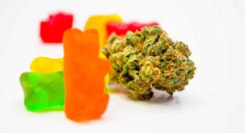 Why CBD Gummies are Your New Favorite Snack Food
