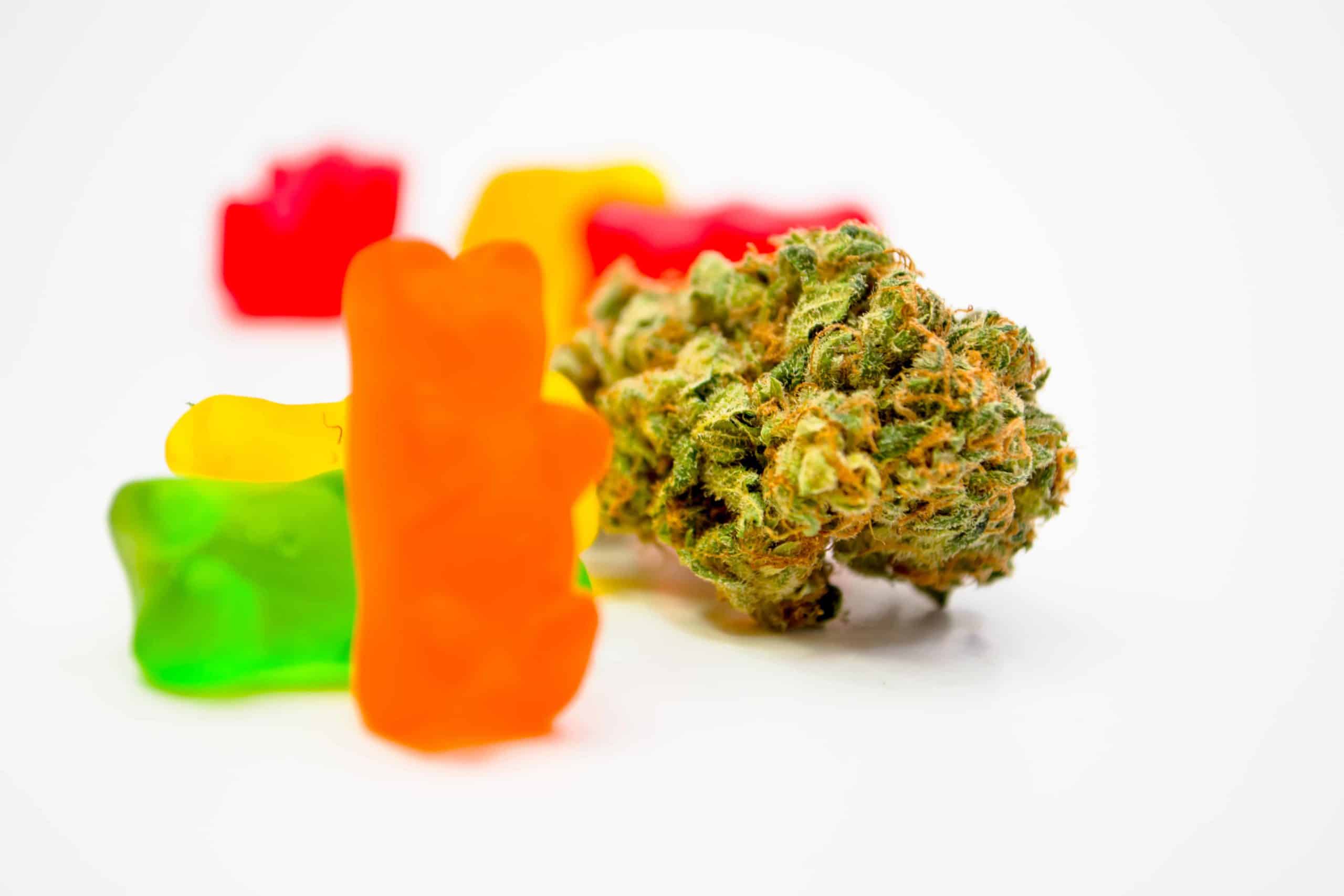 Why CBD Gummies are Your New Favorite Snack Food